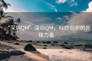 “深圳QM”深圳QM，科技创新的先锋力量