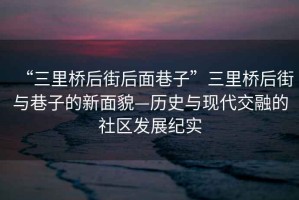 “三里桥后街后面巷子”三里桥后街与巷子的新面貌—历史与现代交融的社区发展纪实