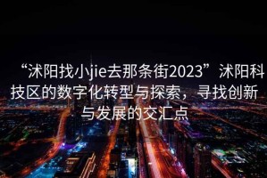 “沭阳找小jie去那条街2023”沭阳科技区的数字化转型与探索，寻找创新与发展的交汇点