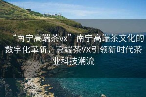 “南宁高端茶vx”南宁高端茶文化的数字化革新，高端茶VX引领新时代茶业科技潮流