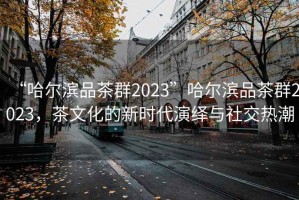 “哈尔滨品茶群2023”哈尔滨品茶群2023，茶文化的新时代演绎与社交热潮