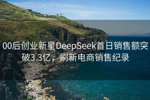 00后创业新星DeepSeek首日销售额突破3.3亿，刷新电商销售纪录