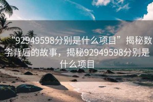 “92949598分别是什么项目”揭秘数字背后的故事，揭秘92949598分别是什么项目