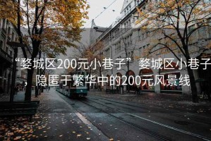 “婺城区200元小巷子”婺城区小巷子，隐匿于繁华中的200元风景线