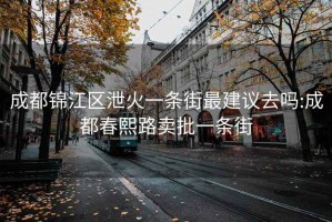 成都锦江区泄火一条街最建议去吗:成都春熙路卖批一条街