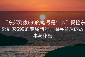 “东郊到家699的暗号是什么”揭秘东郊到家699的专属暗号，探寻背后的故事与秘密