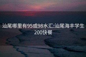 汕尾哪里有95或98水汇:汕尾海丰学生200快餐