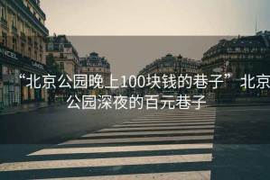 “北京公园晚上100块钱的巷子”北京公园深夜的百元巷子