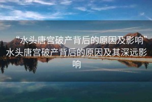 “水头唐宫破产背后的原因及影响”水头唐宫破产背后的原因及其深远影响