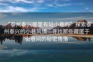 “泰州泰兴哪里有站小巷的”探索泰州泰兴的小巷风情—寻找那些藏匿于街巷间的秘密角落