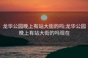 龙华公园晚上有站大街的吗:龙华公园晚上有站大街的吗现在