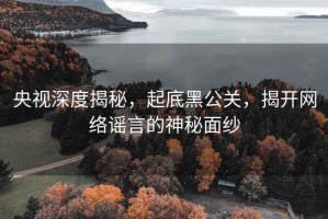 央视深度揭秘，起底黑公关，揭开网络谣言的神秘面纱