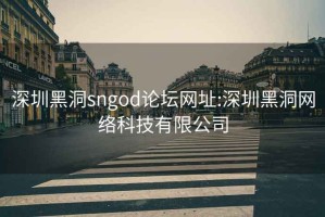 深圳黑洞sngod论坛网址:深圳黑洞网络科技有限公司