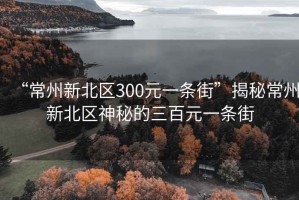 “常州新北区300元一条街”揭秘常州新北区神秘的三百元一条街