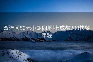 双流区50元小胡同地址:成都200快餐年轻