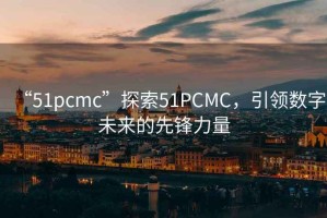 “51pcmc”探索51PCMC，引领数字未来的先锋力量