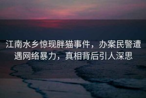 江南水乡惊现胖猫事件，办案民警遭遇网络暴力，真相背后引人深思