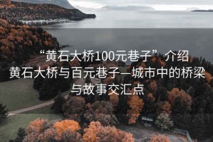 “黄石大桥100元巷子”介绍
黄石大桥与百元巷子—城市中的桥梁与故事交汇点