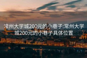 常州大学城200元的小巷子:常州大学城200元的小巷子具体位置