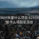 929598分别是什么项目:929598分别是什么项目足浴店