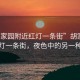 “胡家园附近红灯一条街”胡家园附近红灯一条街，夜色中的另一种风情