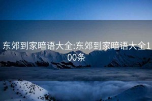 东郊到家暗语大全:东郊到家暗语大全100条