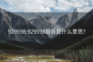 929598:929598服务是什么意思?