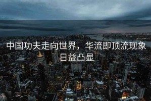 中国功夫走向世界，华流即顶流现象日益凸显