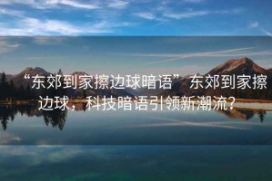 “东郊到家擦边球暗语”东郊到家擦边球，科技暗语引领新潮流？