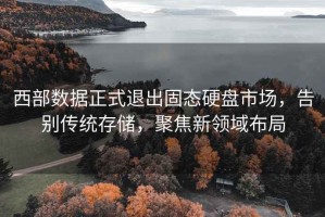 西部数据正式退出固态硬盘市场，告别传统存储，聚焦新领域布局