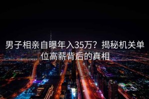 男子相亲自曝年入35万？揭秘机关单位高薪背后的真相