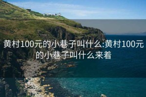 黄村100元的小巷子叫什么:黄村100元的小巷子叫什么来着