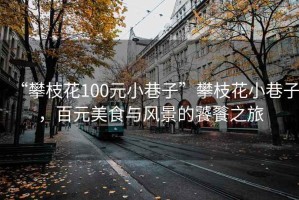 “攀枝花100元小巷子”攀枝花小巷子，百元美食与风景的饕餮之旅