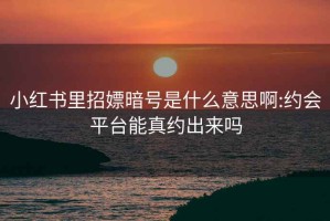 小红书里招嫖暗号是什么意思啊:约会平台能真约出来吗