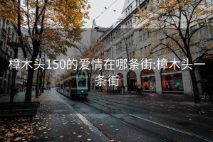 樟木头150的爱情在哪条街:樟木头一条街