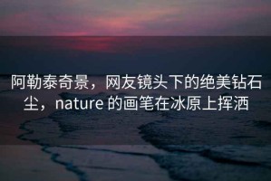 阿勒泰奇景，网友镜头下的绝美钻石尘，nature 的画笔在冰原上挥洒