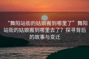 “舞阳站街的姑娘搬到哪里了”舞阳站街的姑娘搬到哪里去了？探寻背后的故事与变迁