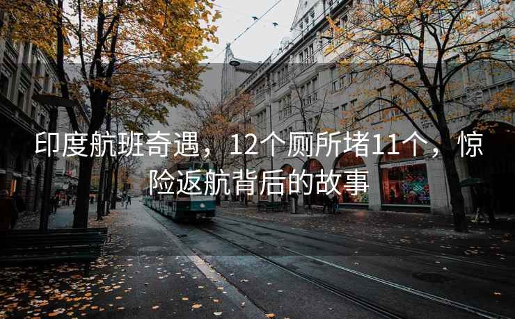 印度航班奇遇，12个厕所堵11个，惊险返航背后的故事