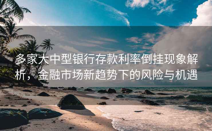 多家大中型银行存款利率倒挂现象解析，金融市场新趋势下的风险与机遇