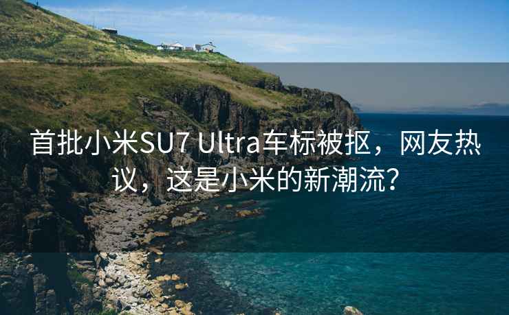 首批小米SU7 Ultra车标被抠，网友热议，这是小米的新潮流？