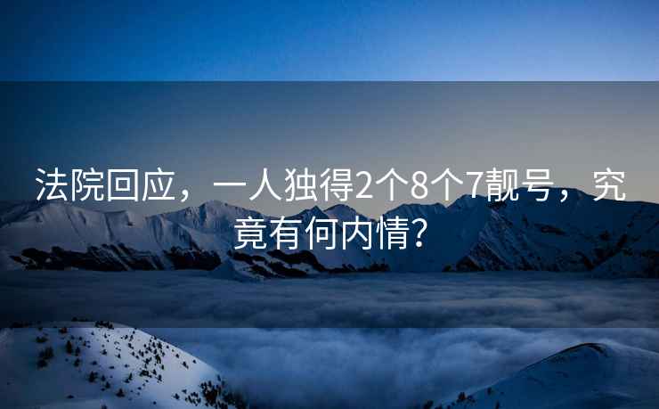 法院回应，一人独得2个8个7靓号，究竟有何内情？