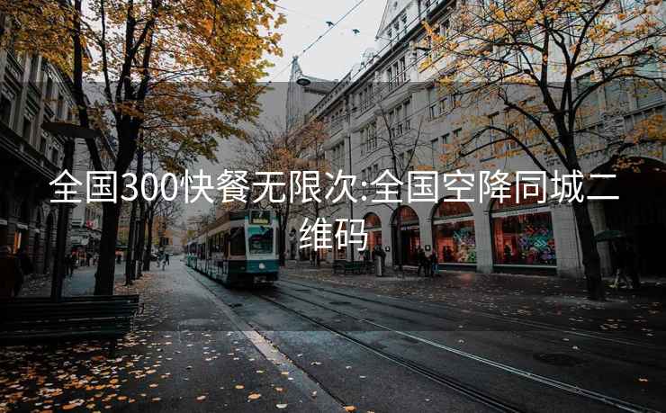 全国300快餐无限次:全国空降同城二维码