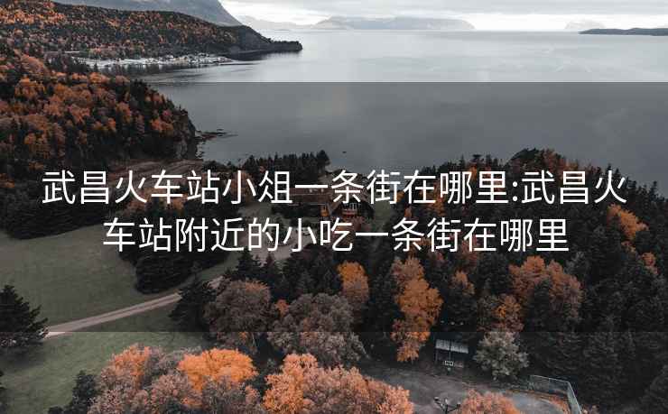 武昌火车站小俎一条街在哪里:武昌火车站附近的小吃一条街在哪里