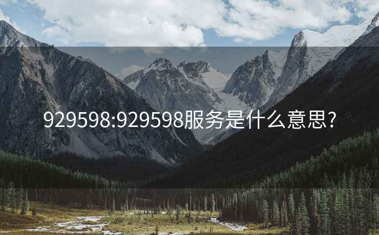 929598:929598服务是什么意思?