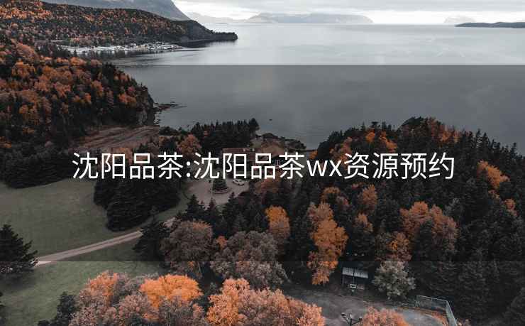 沈阳品茶:沈阳品茶wx资源预约