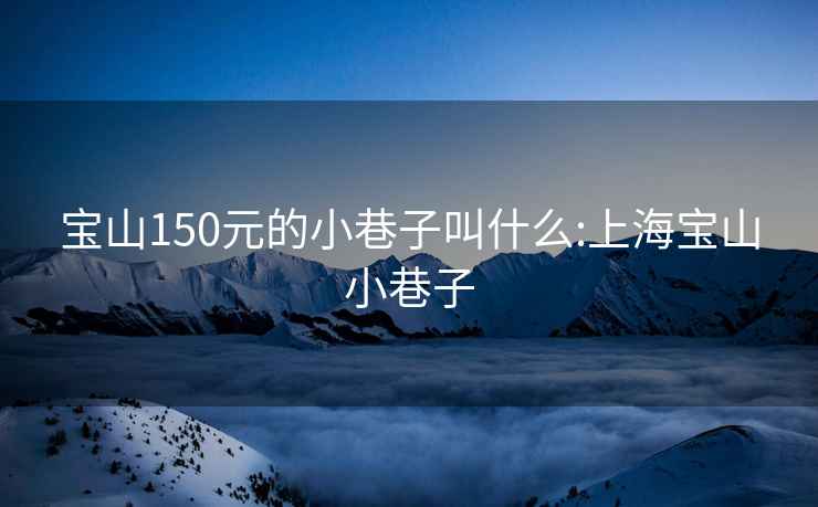 宝山150元的小巷子叫什么:上海宝山小巷子