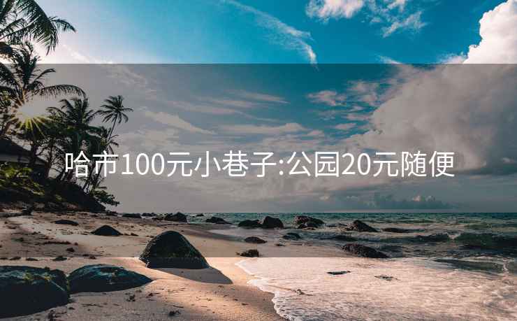 哈市100元小巷子:公园20元随便