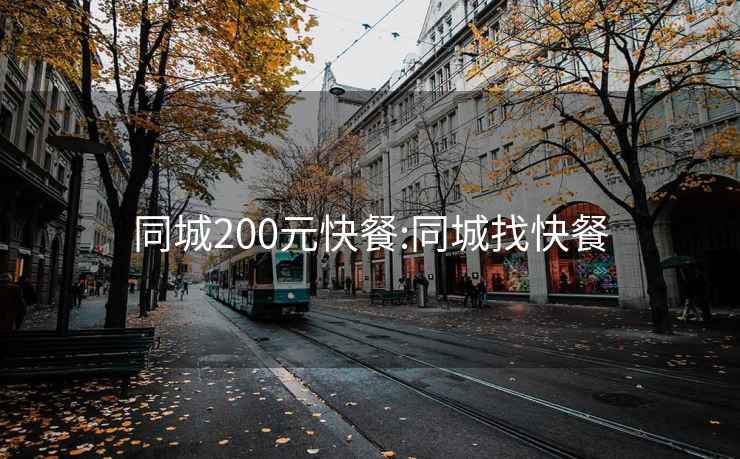 同城200元快餐:同城找快餐