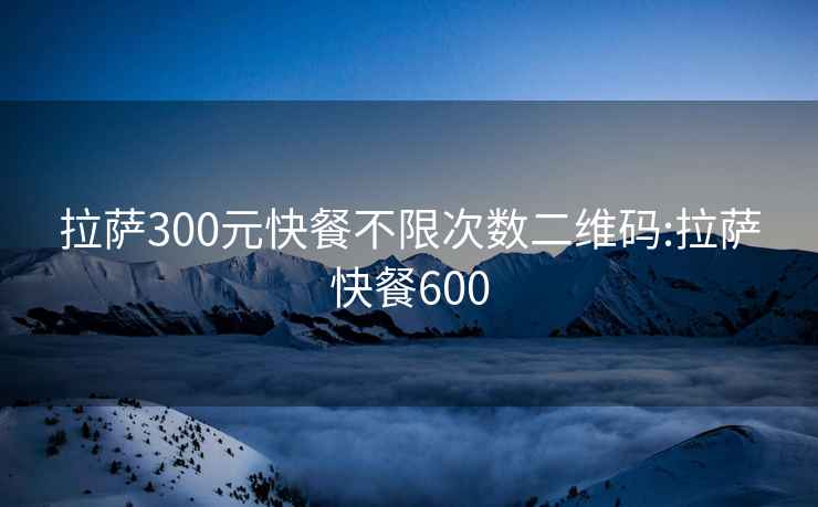 拉萨300元快餐不限次数二维码:拉萨快餐600