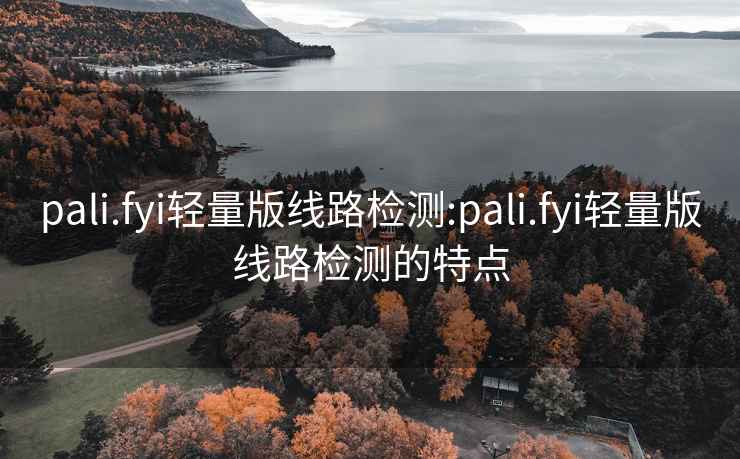 pali.fyi轻量版线路检测:pali.fyi轻量版线路检测的特点